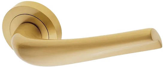 RAFT R2 OSA, ручка дверная, цвет - матовое золото фото купить Краснодар
