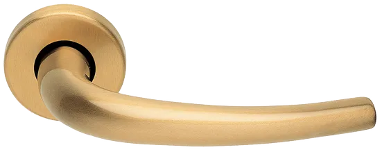 LILLA R3-E OSA, ручка дверная, цвет - матовое золото фото купить Краснодар
