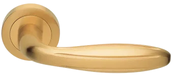 BUD R2 OSA, ручка дверная, цвет - матовое золото