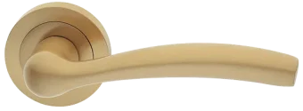VENERA R2 OSA, ручка дверная, цвет - матовое золото