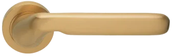 NIRVANA R2 OSA, ручка дверная, цвет - матовое золото