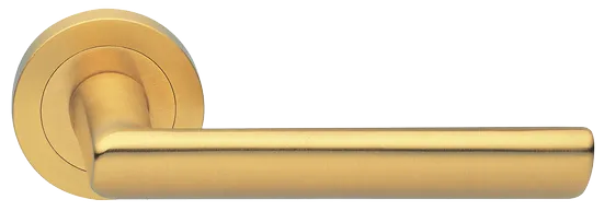 STELLA R2 OSA, ручка дверная, цвет - матовое золото фото купить Краснодар