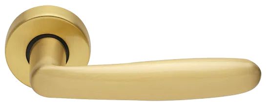 IMOLA R3-E OSA, ручка дверная, цвет - матовое золото фото купить Краснодар