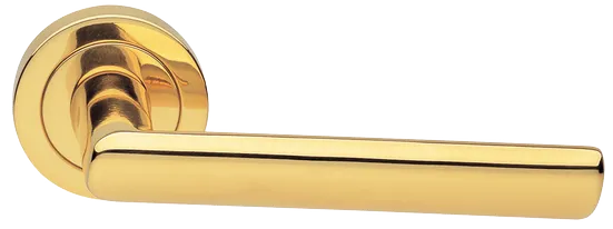 STELLA R2 OTL, ручка дверная, цвет - золото фото купить Краснодар